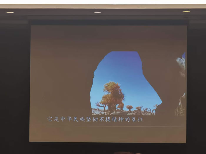 綿陽中旅行假日旅行社舉行胡楊林、南疆專列推薦會